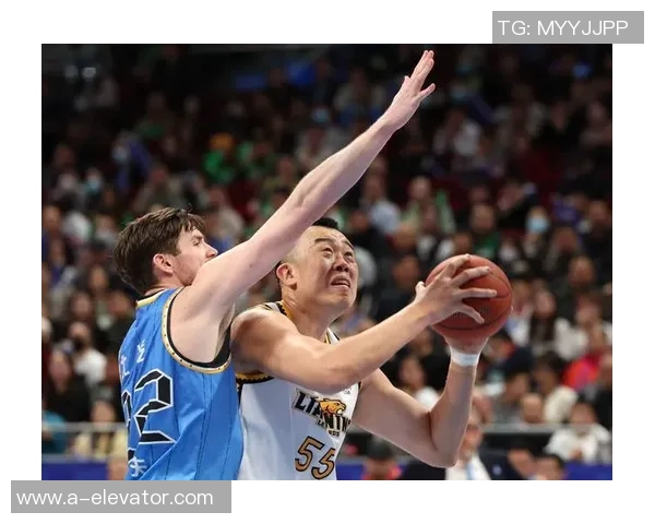 2017年CBA季后赛辽宁队对阵北京队的精彩对决回顾与分析 2017年CBA季后赛辽宁队对阵北京队的精彩对决回顾与分析