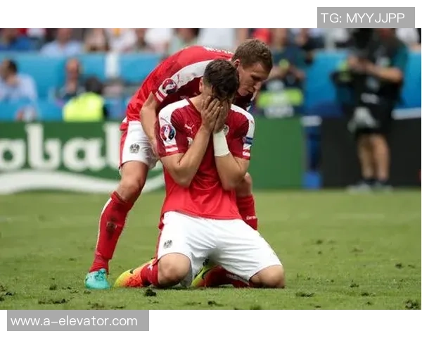 奥地利与冰岛足球对决比分预测及分析展望 奥地利与冰岛足球对决比分预测及分析展望