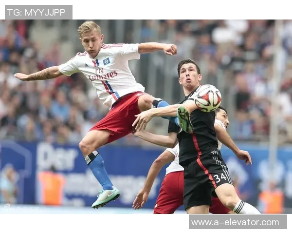 拜仁慕尼黑对阵汉堡精彩录播高清回放尽享足球盛宴 拜仁慕尼黑对阵汉堡精彩录播高清回放尽享足球盛宴