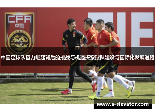 中国足球队奋力崛起背后的挑战与机遇探索球队建设与国际化发展道路