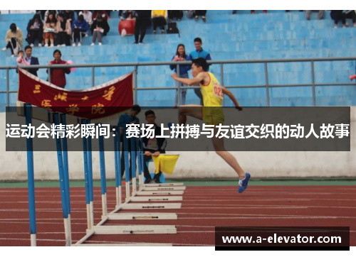 运动会精彩瞬间：赛场上拼搏与友谊交织的动人故事