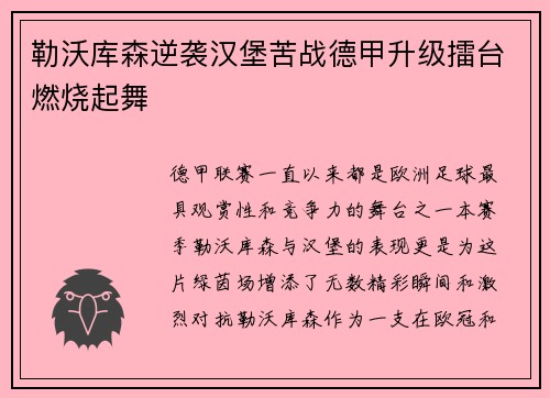 勒沃库森逆袭汉堡苦战德甲升级擂台燃烧起舞