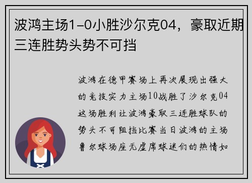 波鸿主场1-0小胜沙尔克04，豪取近期三连胜势头势不可挡