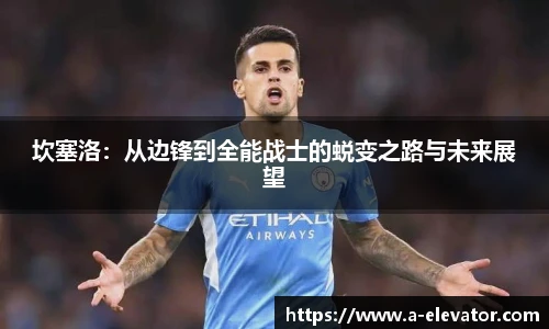 坎塞洛：从边锋到全能战士的蜕变之路与未来展望