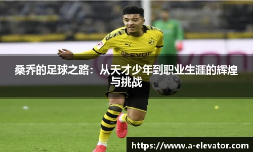 桑乔的足球之路：从天才少年到职业生涯的辉煌与挑战